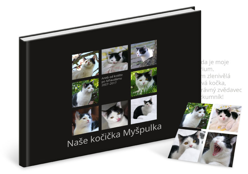 Fotokniha s pevnou vazbou „basic černá“